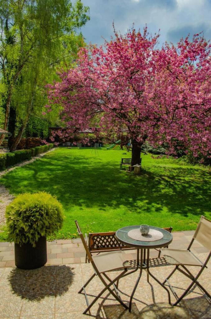 Shubu Zen Vendégház Szilvásvárad Extérieur photo